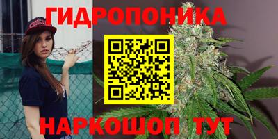 круглые Пугачёв