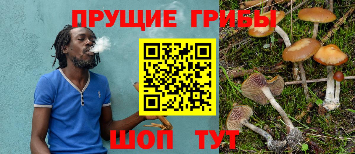 Татарск  Галлюциногенные грибы GOLDEN TEACHER  даркнет сайт  Галлюциногенные грибы GOLDEN TEACHER  Вход с VPN 