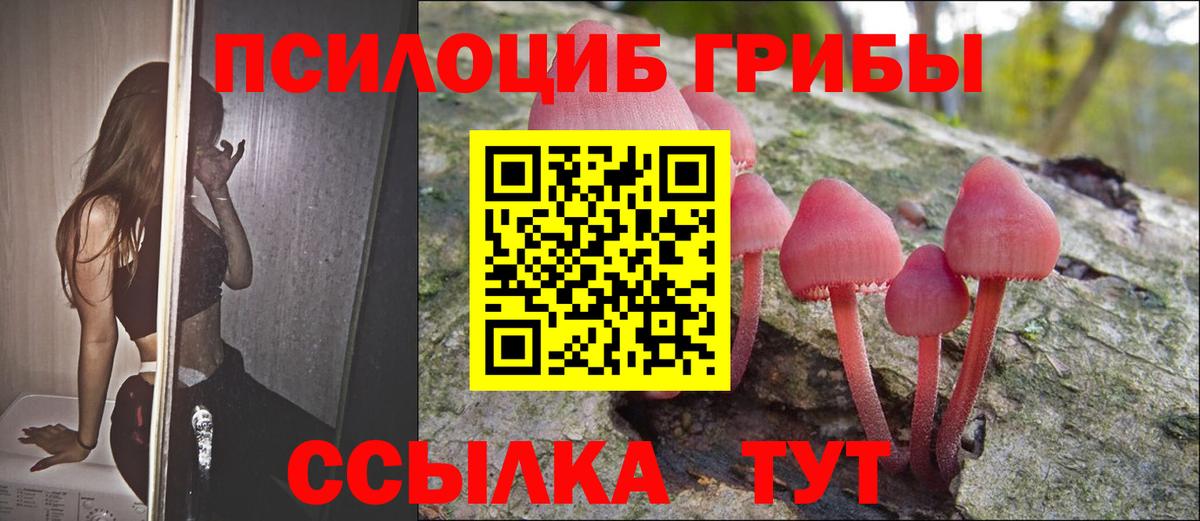 Галлюциногенные грибы мицелий Татарск